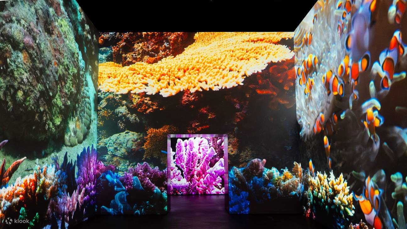 บัตร Fabrique des Lumières ในอัมสเตอร์ดัม